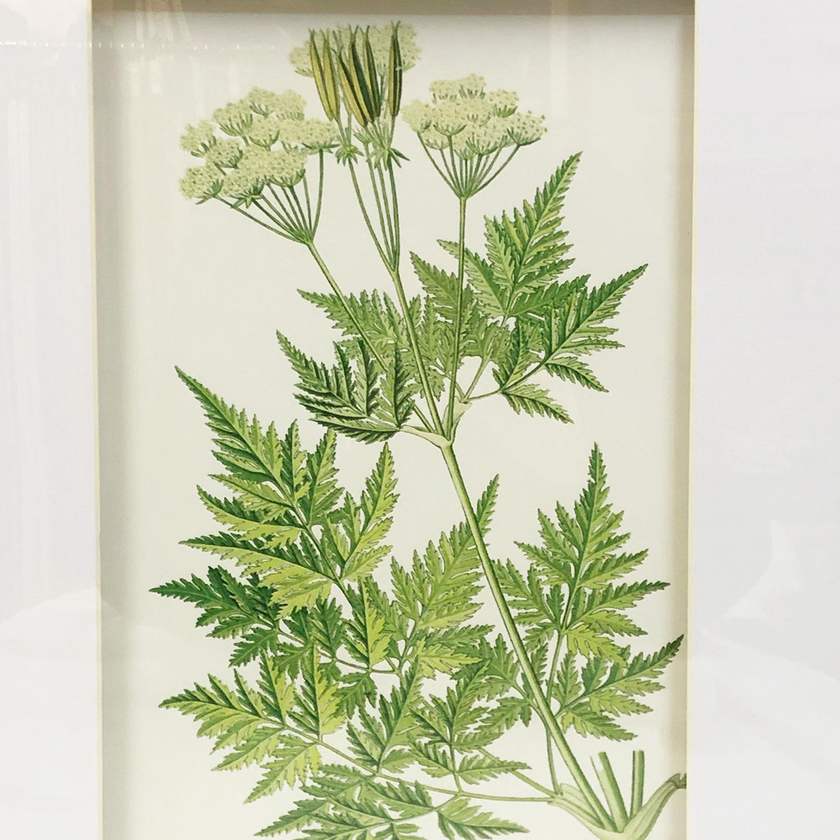植物のアート額グリーンリーフC/ 黒フレームマット付きのシンプルなアート