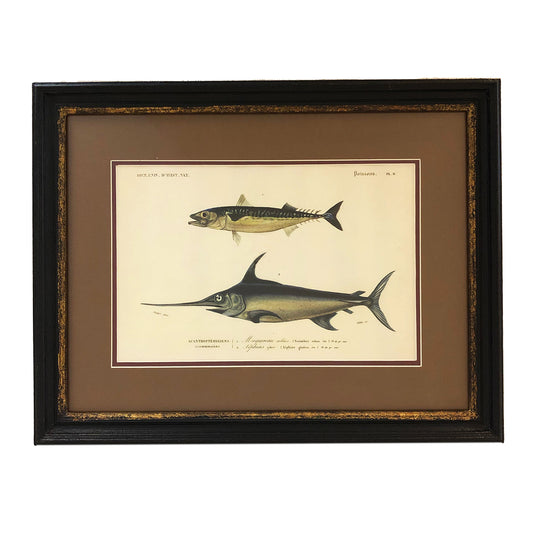 魚の絵/ヴィンテージな額絵(フィッシュ)