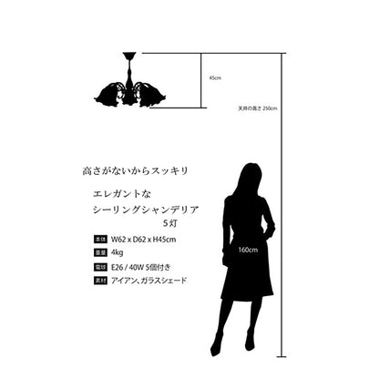おしゃれでクラシカルなシーリングシャンデリア5灯 /ガラスシェード × アイアンフレーム（ブロンズ色）