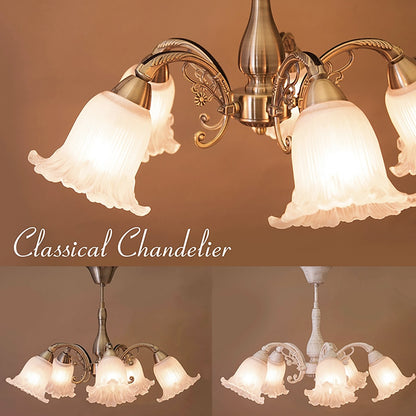 おしゃれでクラシカルなシーリングシャンデリア5灯 /ガラスシェード × アイアンフレーム（ブロンズ色）