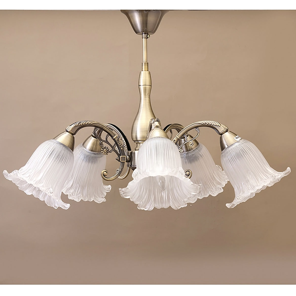 おしゃれでクラシカルなシーリングシャンデリア5灯 /ガラスシェード × アイアンフレーム（ブロンズ色）