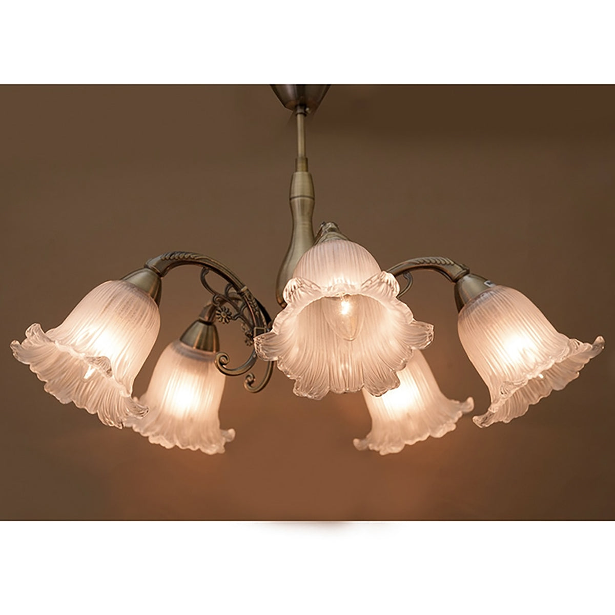 おしゃれでクラシカルなシーリングシャンデリア5灯 /ガラスシェード × アイアンフレーム（ブロンズ色）