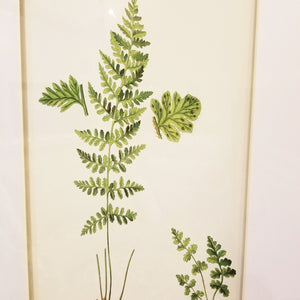 植物のアート額グリーンリーフA/ 黒フレームにマット付きのシンプルなアート