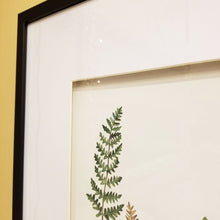 画像をギャラリービューアに読み込む, 植物のアート額グリーンリーフB/ 黒フレームマット付きのシンプルなアート
