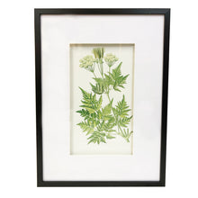 画像をギャラリービューアに読み込む, 植物のアート額グリーンリーフC/ 黒フレームマット付きのシンプルなアート
